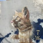 "Unicità" (memoriale Leo) quarzo e spray su muro 9mq Cagliari 2025